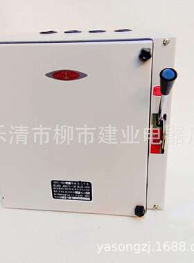 SHK2R-160/35 25A50A63A80A100A防雨型封闭式熔断器负荷铁壳开关