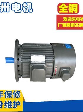 销售 YLJ112-6-6 YLJ112-6-8 三相异步力矩电动机 力矩电机