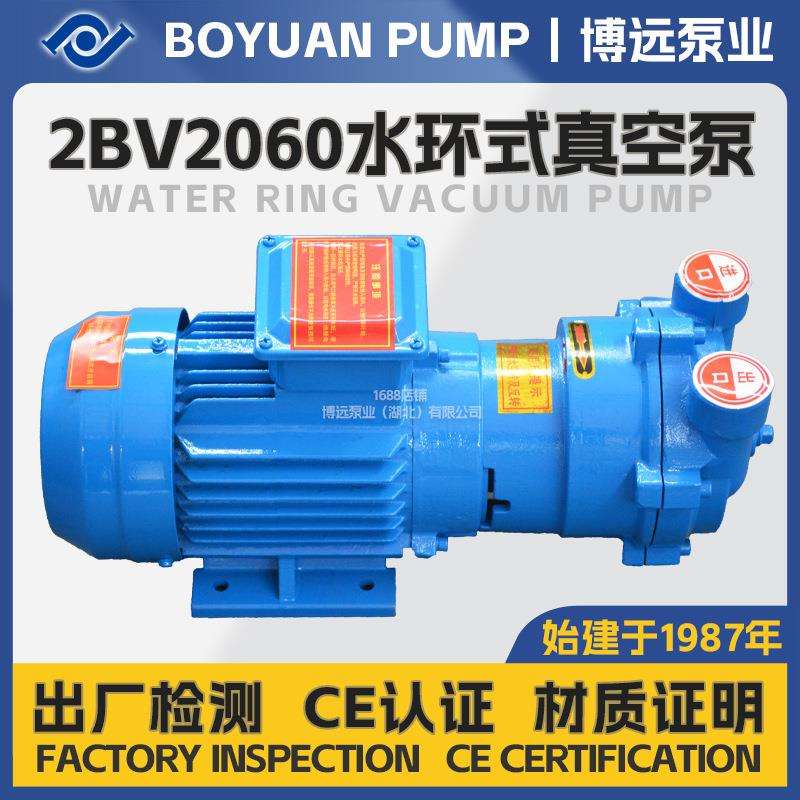 2BV2060水环式真空泵0.81kW铸铁304工业引水液环泵抽气泵厂家现货