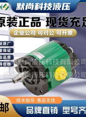 SALAMI齿轮泵2.5PB11.5/13.8/16/19/22/25/28/32/38/44D-R38P2-V