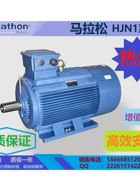 供应marathon系列三相异步电机0.75~375kW
