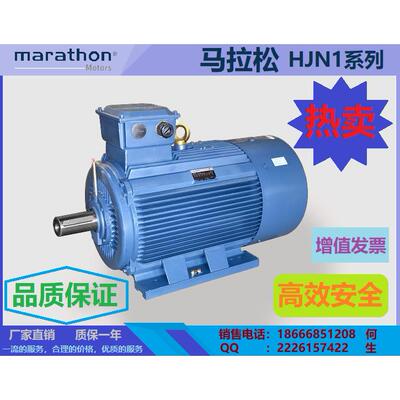 供应marathon系列三相异步电机0.75~375kW