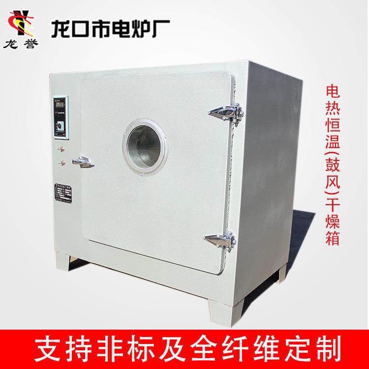 电热恒温鼓风干燥箱焊条烘干箱热处理工业烘箱