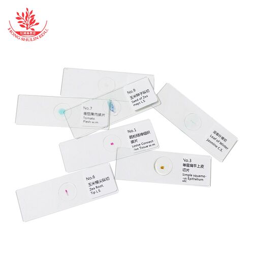 人体四种基本组织玻片植物根尖等共12片中考实验观察装片教学玻片