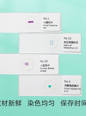 25片装生物标本切片动植物组织学综合类别学生玻璃玻片显微镜配件