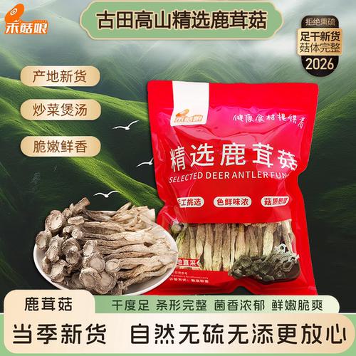 新鲜头茬鹿茸菇干货无硫无熏