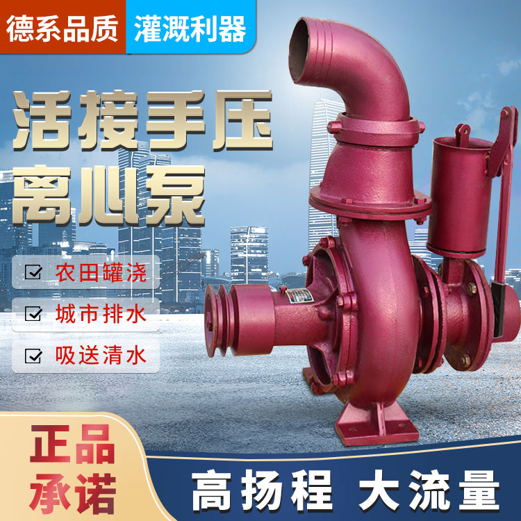 双叶轮离心泵手压拖泵抽水器农用抽水机农田灌溉高扬程大流量水泵图片