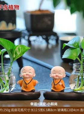 慧圆小和尚绿植i水培装饰品花瓶办公桌面摆件客厅插花送礼家居好