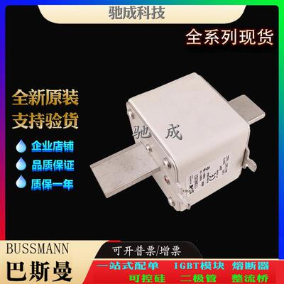 巴斯曼170M6308 170M6309 170M6310 长期销售价优 方体熔断器