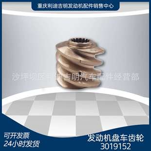 现货 柴油发动机配件 3019152发动机盘车齿轮K19