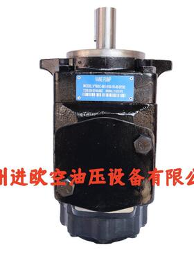 VT6DC-061-010-1R-00-B100 液压泵VT6DC液压系统动力单元工程机械