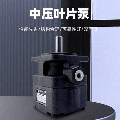 叶片泵10液压永灵/叶片泵-居YBL-11016磨床/6BY1油泵/25/4/0YC仙