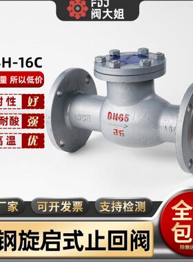 25 C/铸1048旋启法兰 16单向阀C式 DN501500H65止回阀 H4-卧式钢0