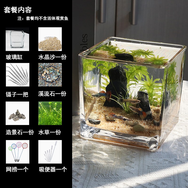 桌面生态缸d客厅小草缸迷你小型鱼缸办公桌免打理生态鱼缸造景全