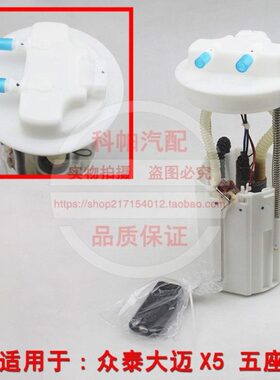 8T00燃油芯 Z30Z5200500众泰 000汽油Z泵2008适配泵070Z1总成电动