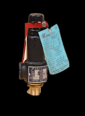 A27W-10T/16T 上海倍稳 弹簧式安全阀 DN15 20 25 32 40 50 65 80