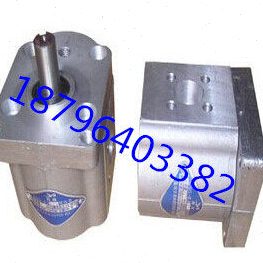 E30/30CD36E/E5/双向齿轮泵00/433SE310312-14/EB8/3216E/E32/E