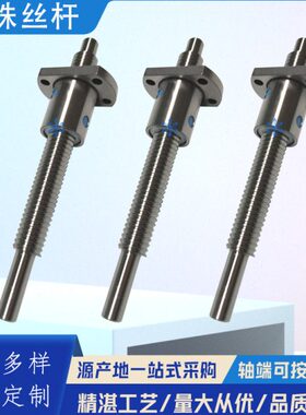 102  丝杆1TF 815120206030M5020 0402025滚珠丝杠  2vTF0 W15 0