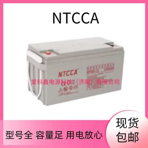 NTCCA NPG65-12 恩科蓄电池12V65AH UPS直流屏备用应急电源