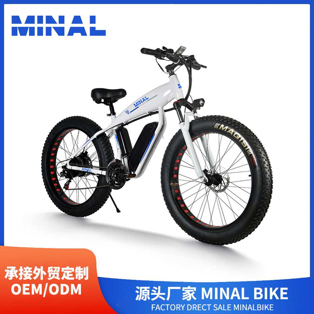 外贸出口MINAL电动自行车FT33 48V350W10.5A 06