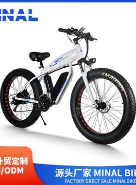 外贸出口MINAL电动自行车FT33 48V350W10.5A 06