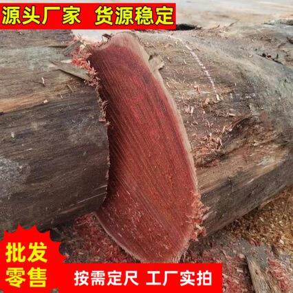阿莫栋 原木板材 阿摩栋木棒 加工阿莫栋板材工程防腐木墩木料