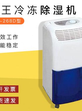 湿王家用除湿机D-D冷冻268抽湿机商用深圳除湿机H