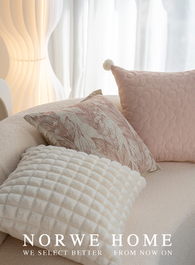 NORWE沙发抱枕客厅法式高级感A靠枕枕套枕芯粉色布艺靠背飘窗靠垫