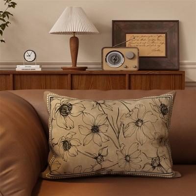 长方形沙发抱枕中古风套床头靠枕套新H款靠背垫含芯靠垫车载靠枕