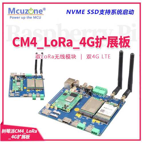 树莓派CM4_LoRa_4G扩展板 双LoRa无线模块 双4G LTE，SSD启动系统