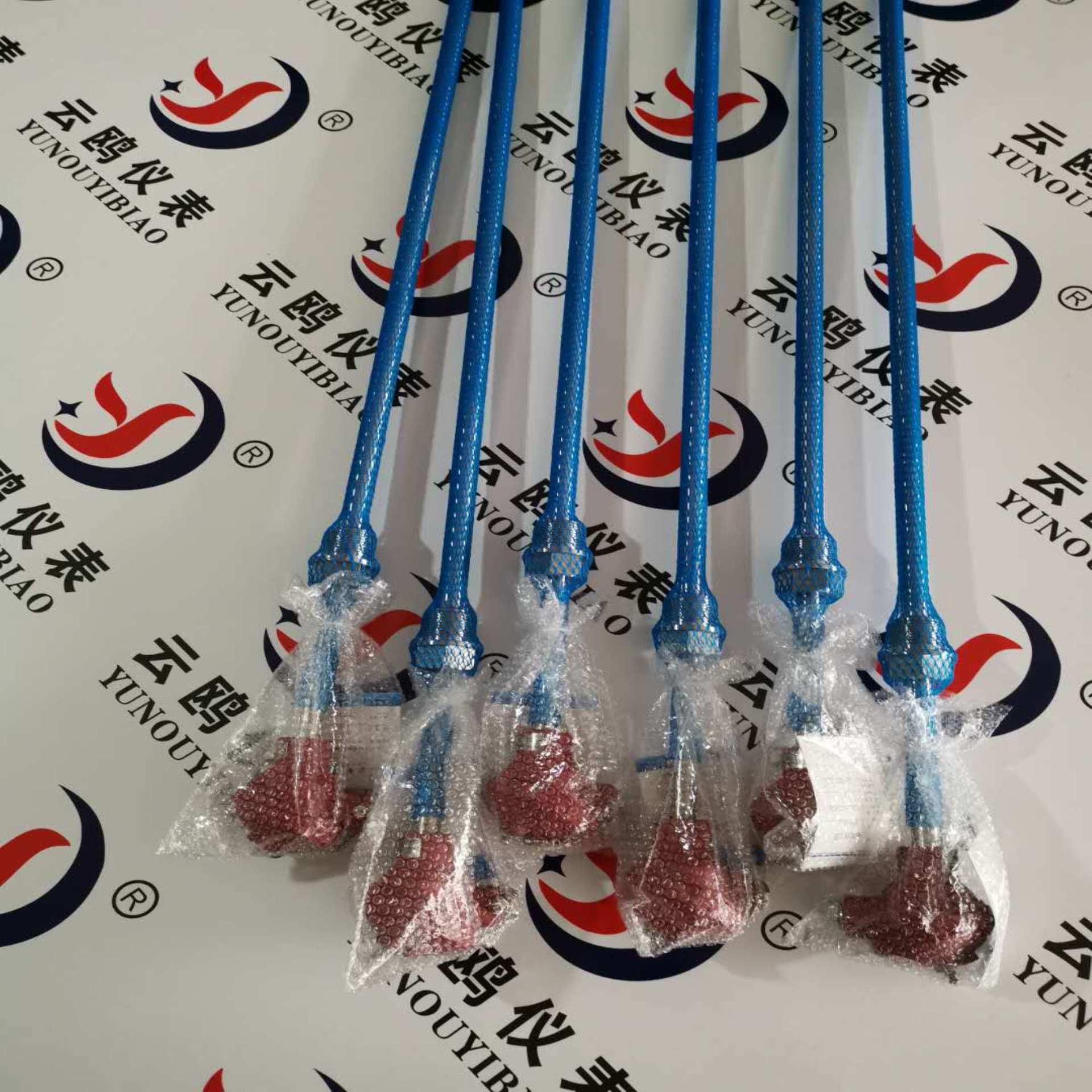 WZC-221G热电阻PT100WZP2-320G/WZP-631带护套型热电阻