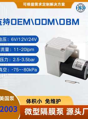 长寿命12V直流无刷隔膜泵15-20LPM食品包装机微型真空隔膜负压气