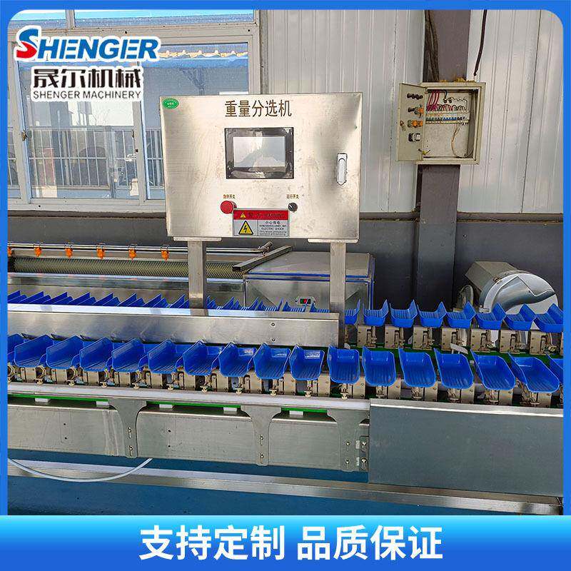 全自动鲍鱼海参大小分拣机扇贝称重选别机分选机玉米料盒分选机