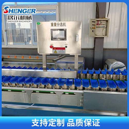 全自动鲍鱼海参大小分拣机扇贝称重选别机分选机玉米料盒分选机