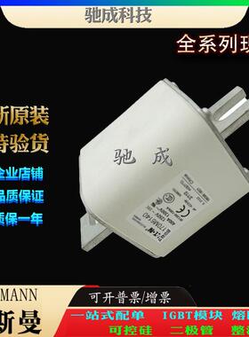 巴斯曼170M6140 170M6141 170M6142 现货直销价优 快速保险丝