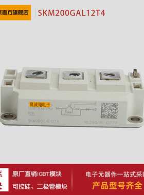 供应 功率二极管/IGBT模块SKM200GAL12T4 SKM200GAL12V现货
