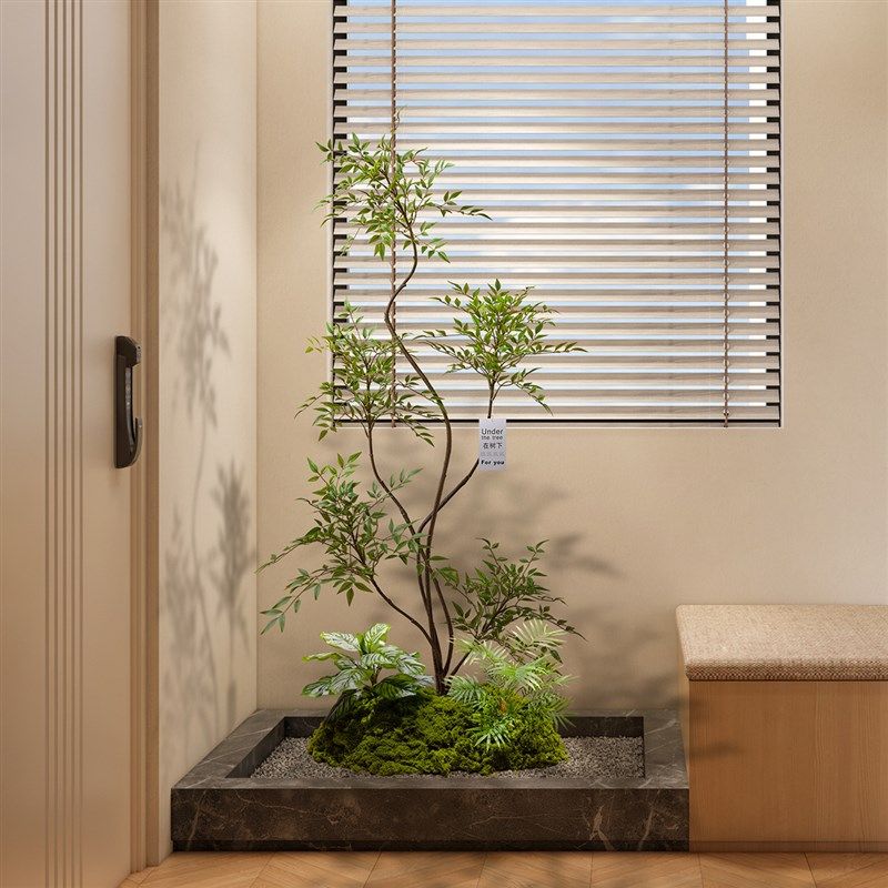 森空间玄关造景装k饰绿植微景观室内高端轻奢软装搭配好物假树植