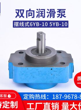 线2齿轮油泵摆10-10/减速机双向B-F5 YBK Y3/油泵家润滑泵6张口