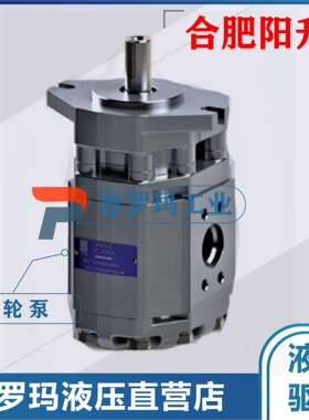 合肥阳升液压齿轮泵CBF-F410/F414/F416/F418/E450-ALPL/ALHL油泵