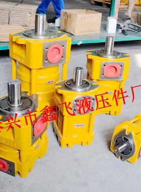 NT4油泵NB3/NT3/C40F/C50F/C63F/QT41直线共轭内啮合齿轮泵D G