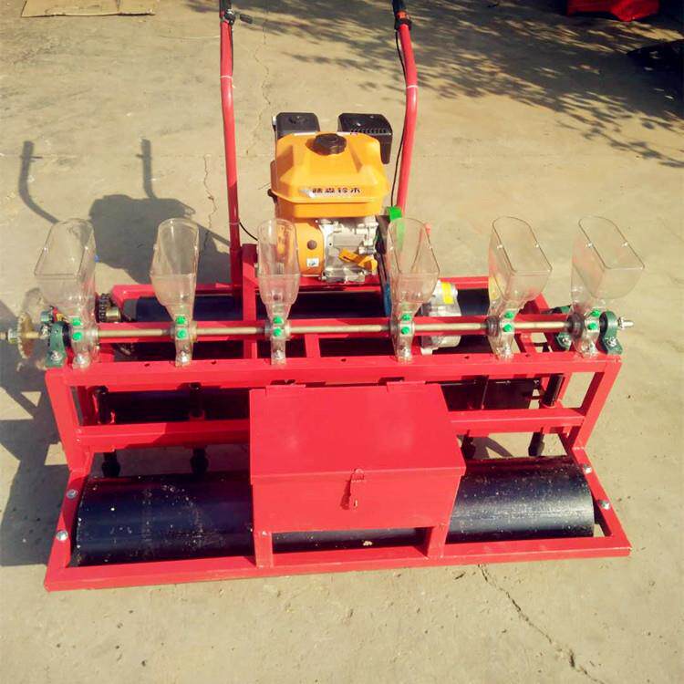 6行播种机 自走式6行7.5马力播种机 自走播种器 农业机械