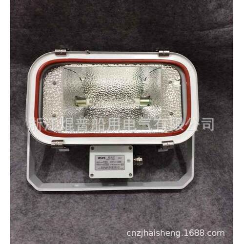 船用不锈钢投光灯TG11 300W/500W照明探照灯 E40螺口 R7S