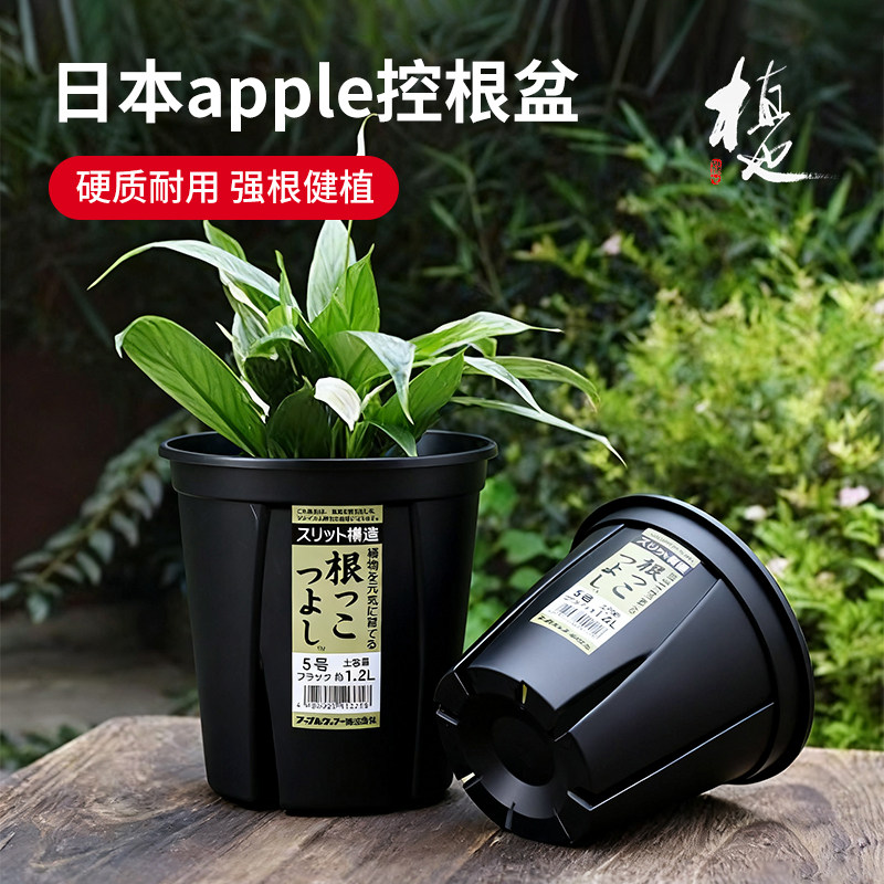 日本进口硬质apple控根盆青山盆花盆透气防缠绕根树脂生根防烂根,鲜花速递/花卉仿真/绿植园艺,花盆,淘宝优惠券,粉丝福利购,淘宝优惠卷