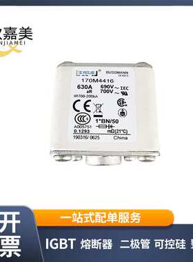 170M4416 170M4415  快速熔断器  电子元器件 库存充足 量大价优