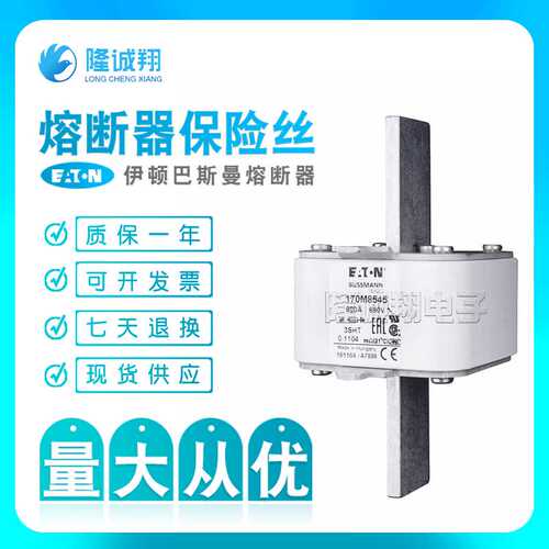 【熔断器保险丝】170M7978 170M7982 170M8330 170M8545 170M8547