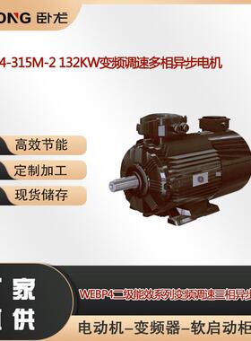 WEBP4-315M-2132W变频调速多相异步电机变频调速一体机