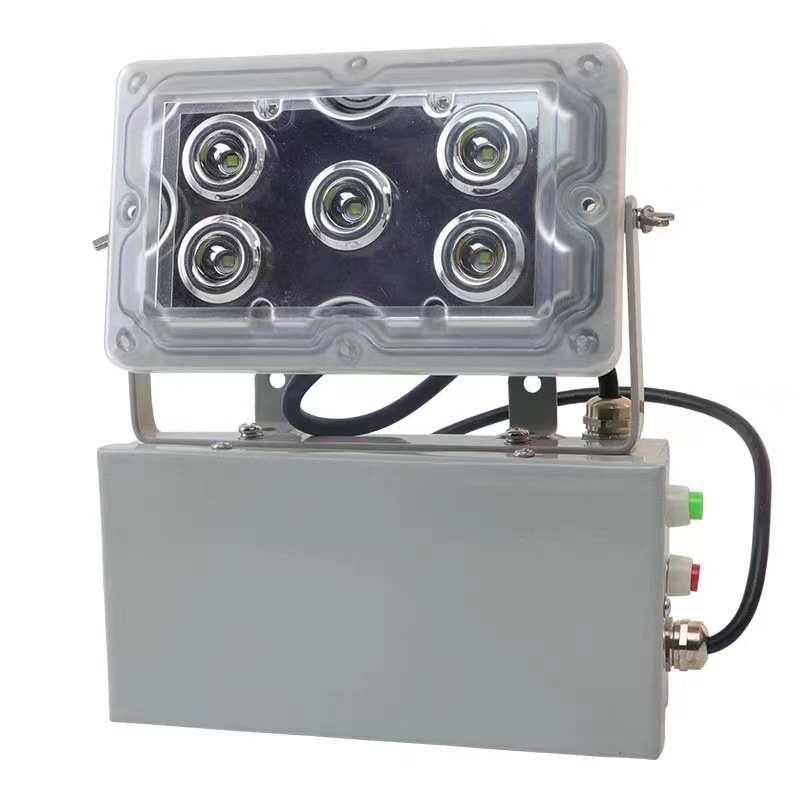 NFC9178固态应急照明灯 15W节能低顶灯 LED配电房走廊应急灯防水