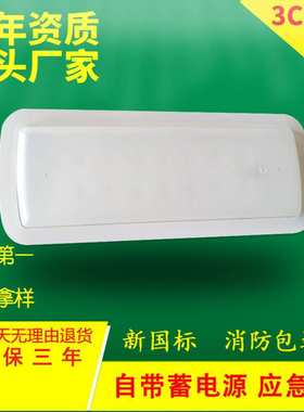外贸乳白色内嵌式led停电应急达3小时照明灯8w欧规EmergencyLight