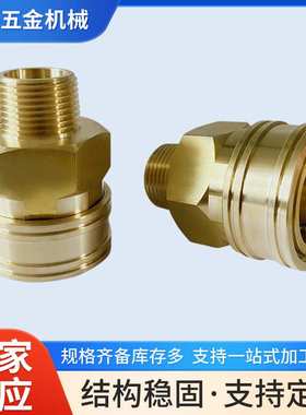 12TSM 10TSF  TSH 2TSF 3TPM TPF TPH大流量快速接头RD-04SF 08PF