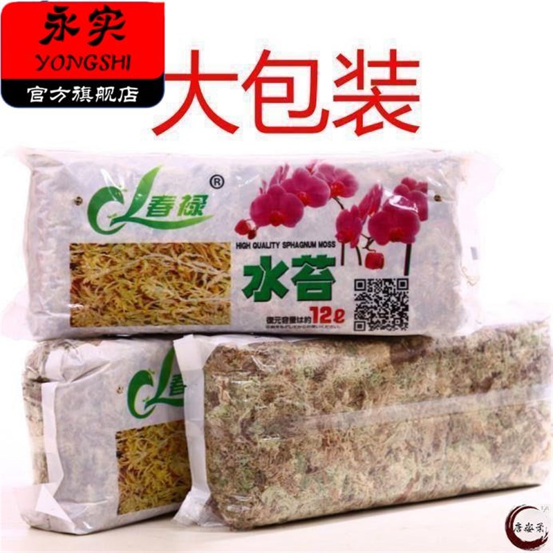 优质干水苔蝴蝶兰专用青苔兰花石斛猪笼草土苔藓鱼缸乌龟垫料花盆